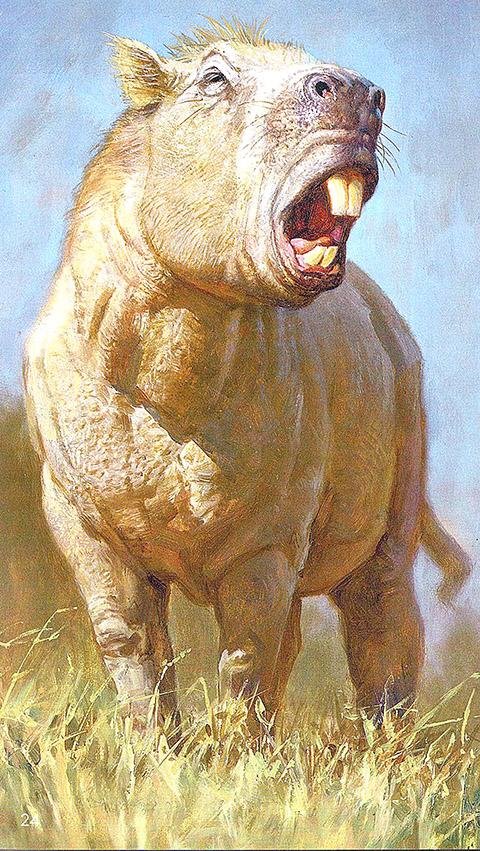 The largest rodent fossil ever found -- the South American Josephoartigasia monesi -- may have used its chompers for more than nibbling away at carrots. Illustrates RODENTS (category i), by Rachel Feltman (c) 2015, The Washington Post. Moved Wednesday, Feb. 4, 2015. (MUST CREDIT: James Gurney.)
