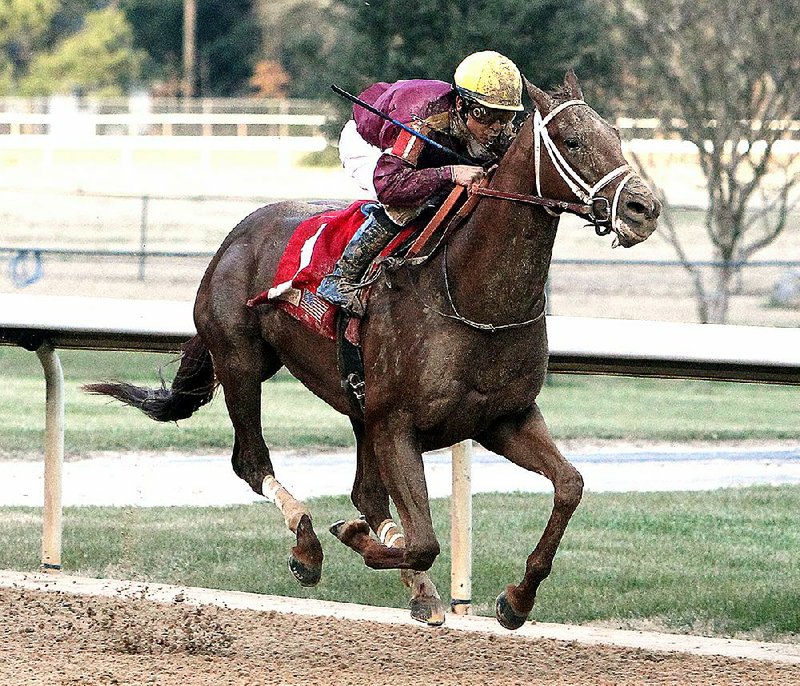 Jockey Mike Smith coasts across the wire to win the Smarty Jones Stakes aboar Far Right for trainer Ron Moquett at Oaklawn Racing & Gaming Monday, January 19, 2015. (The Sentinel-Record/Richard Rasmussen)