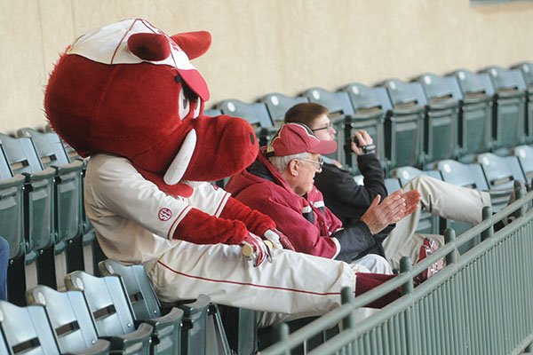 Arkansas mascot, Ribby, watches a game between the Razorbacks and North Dakota on Friday, Feb. 13, 2015, at Baum Stadium in Fayetteville. 