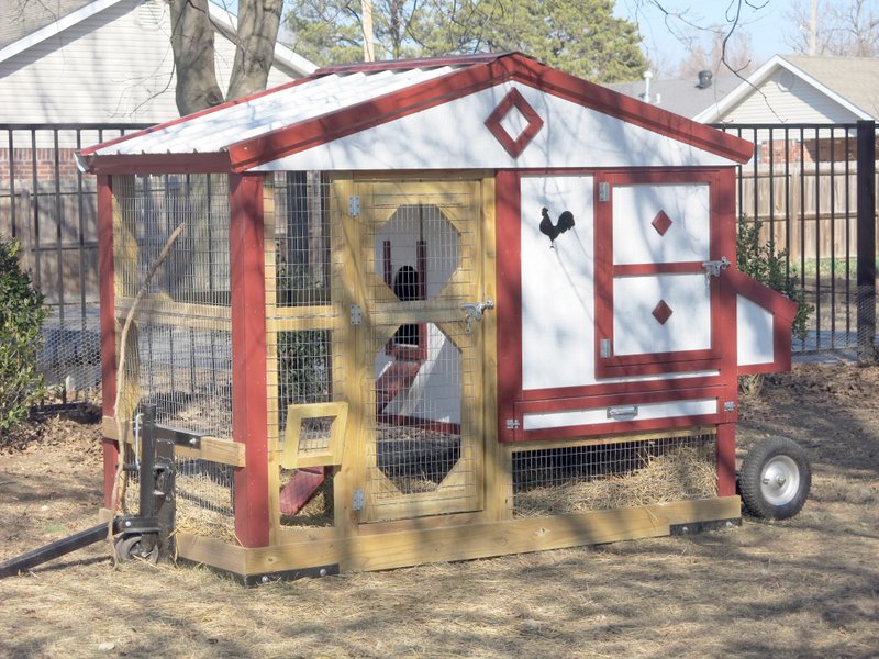 Photo by Susan Holland The chicken tractor in the Wallace yard is a cozy home for the family&#8217;s small flock. Lise Wentz calls it their &#8220;poultry palace.&#8221; Attractively painted in red and white, it contains roosts and nesting boxes for the hens and is mounted on wheels so it can be easily moved from one location to another.