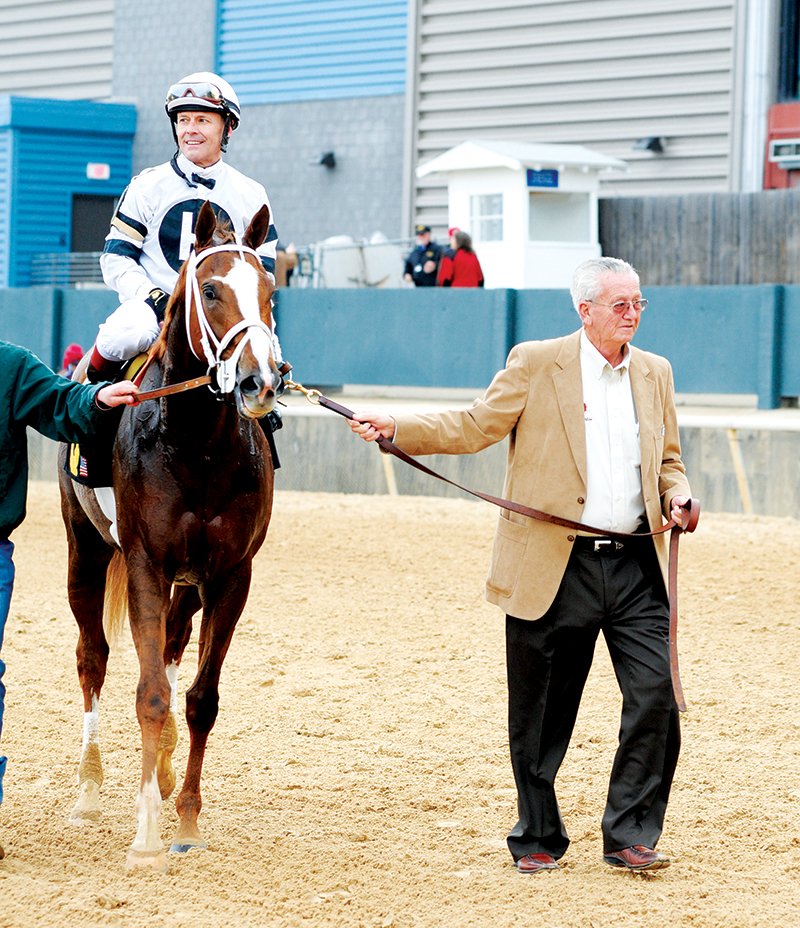 The Sentinel-Record/Mara Kuhn SHE'S A FINE GIRL: Owner Willis Horton, of Marshall, leads Take Charge Brandi and jockey Jon Court to the Oaklawn Park winner's circle after the $100,000 Martha Washington Jan. 31. Horton said Tuesday he is considering a start against males in the Grade 2 $750,000 Rebel March 14, possibly against male 2-year-old champion American Pharaoh.