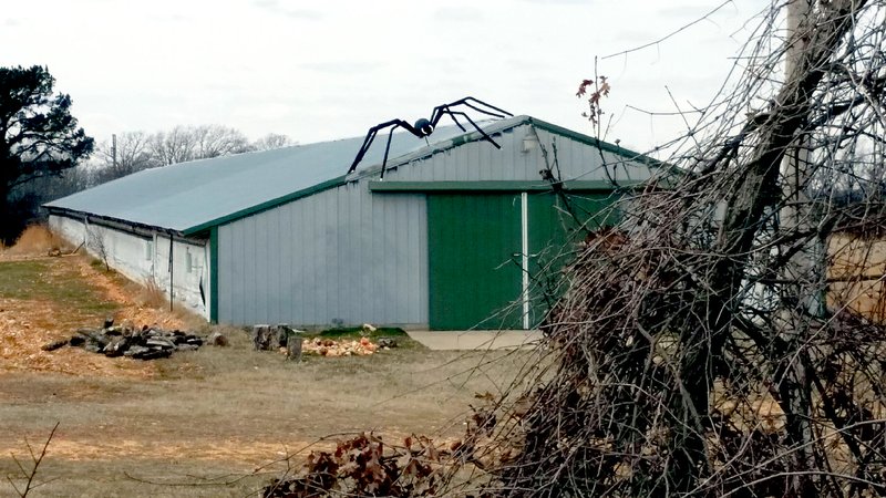 Tina Parker/Siloam Sunday A Halloween spider perched atop a chicken house in Kansas, Okla., offers an out-of-season reminder that arachnids can invade at any time.