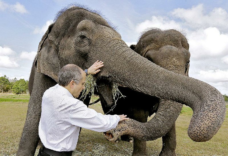 Kenneth Feld, CEO of Feld Entertainment, feeds Alana and Icky at the Ringling Bros. and Barnum & Bailey Center for Elephant Conservation in Polk City, Fla. “Things have changed,” Feld said.