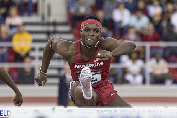 Arkansas' Omar McLeod competes in the 60-meter hurdles during the NCAA indoor track and field championships Friday, March 13, 2015, in Fayetteville, Ark. (AP Photo/Gareth Patterson)