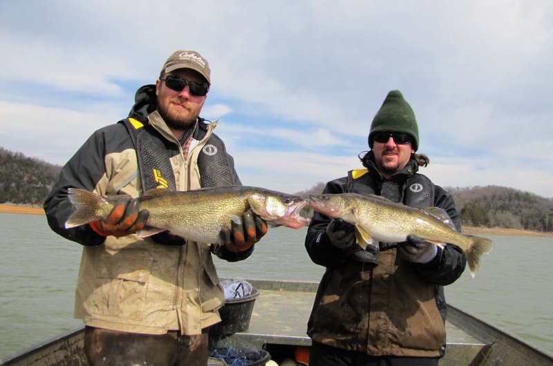 March Is Walleye Time At Beaver Lake