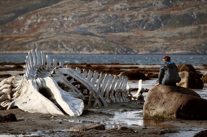 Troubled teen Roman (Sergey Pokhodaev) ponders the bones of a whale in the Russian epic Leviathan.