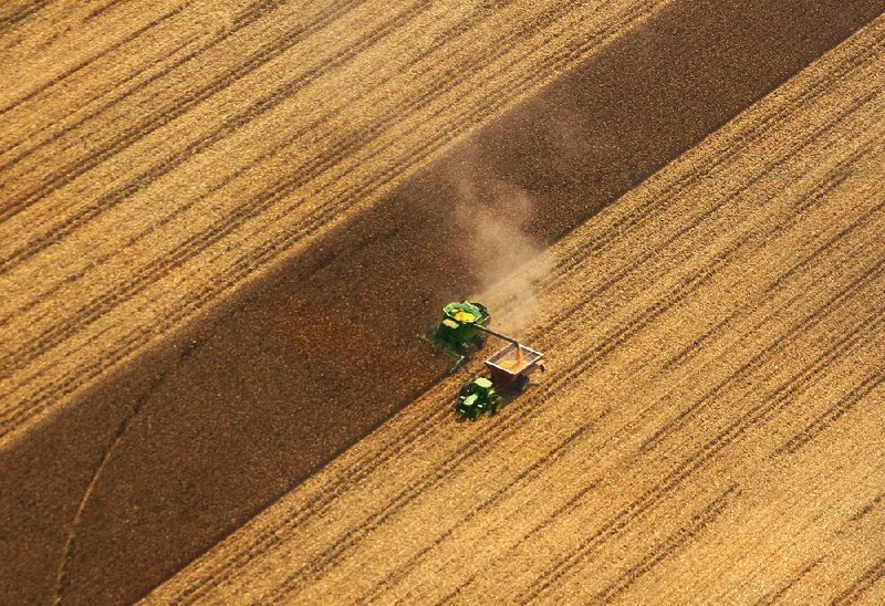 Arkansas Democrat-Gazette/BENJAMIN KRAIN --09/19/2013--
Tractors harvest a grain sorghum field near Humnoke.