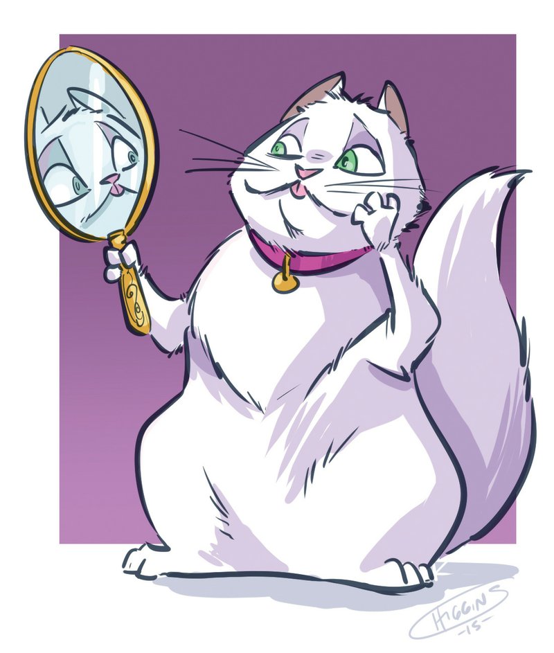 Arkansas Democrat-Gazette mirror cat illustration.