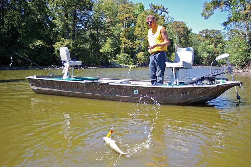 A bass explodes on a topwater plug that Josh Sutton of Wynne is working around cover on a southeast-Arkansas lake. This old-fashioned tactic, called doodlesocking, is dynamite on spring largemouths.