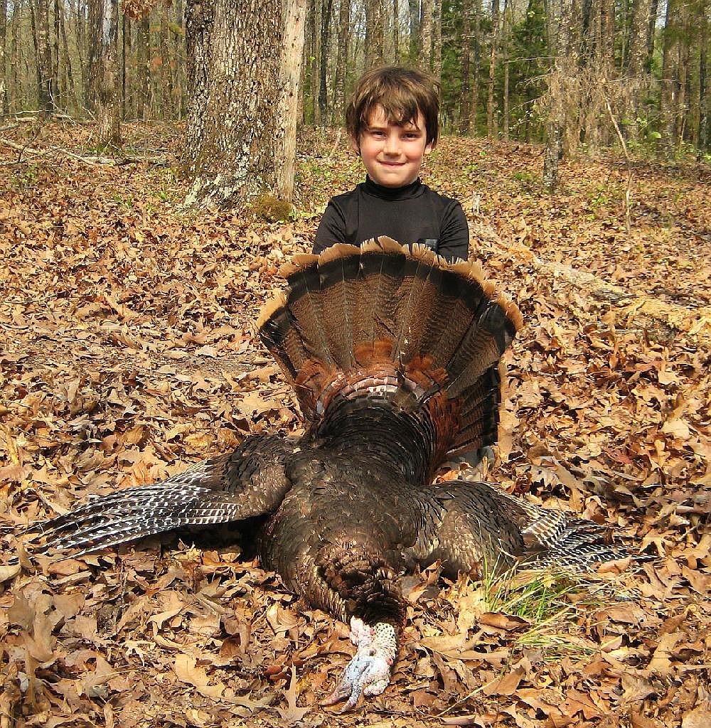 Turkey hunting 101 | The Arkansas Democrat-Gazette - Arkansas' Best ...