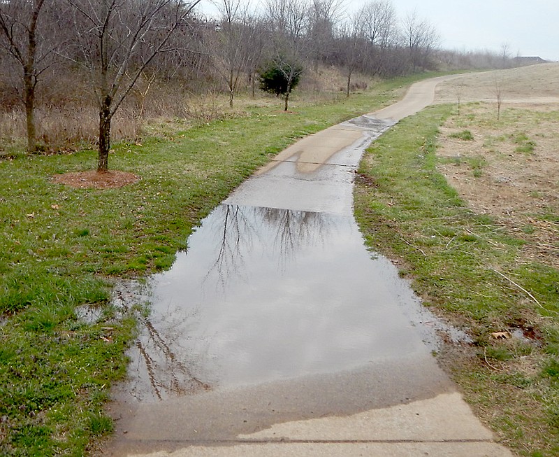 This photo taken by Matt Holden, field inspector with Arkansas Department Environmental Quality, shows untreated wastewater overflowing from the aeration cell of Washington County Property Improvement District No. 5 onto a golf path and the golf course at Valley View. The improvement district is the private sanitary waste treatment and disposal system that serves Valley View subdivision.