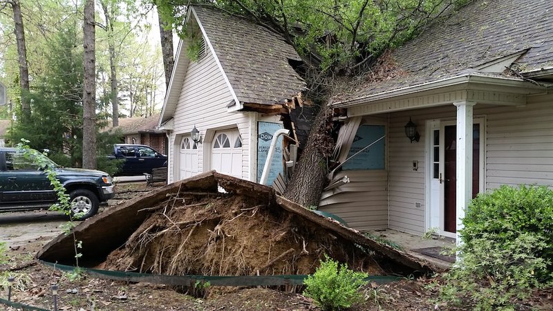 A tree rests on a house on Sharondale Place in Maumelle on Friday, April 10, 2015, after a Thursday storm moved through the state, downing trees, knocking out electricity and dropping large hail.