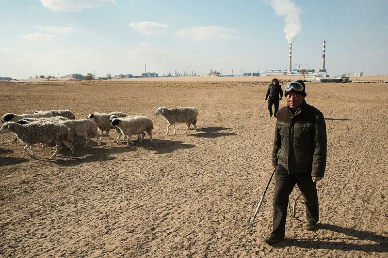 Mongolian herders tend their sheep near a coal-to-gas plant in Datang in Inner Mongolia. 