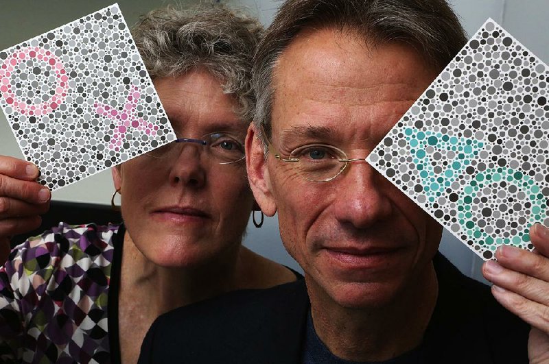 University of Washington researchers Jay and Maureen Neitz, seen holding testing cards for color perception, have teamed up with a California biotech company for a prospective gene-therapy cure for colorblindness. (Ken Lambert/Seattle Times/TNS)