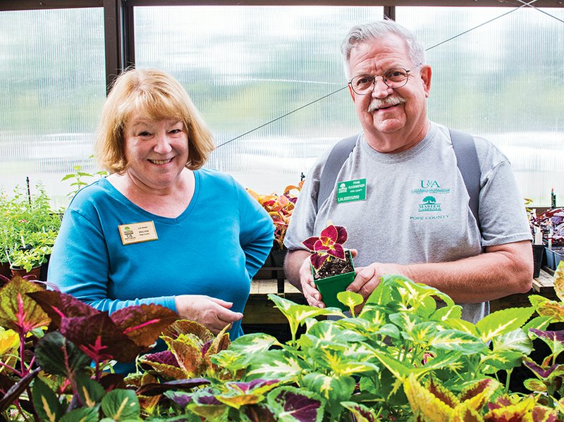 Meg Fox and Frank Russenberger look over some of the plants that will be available during the Pope County Master Gardeners’ annual plant sale, which will open at 8 a.m. Saturday at the Pope County Fairgrounds in Russellville. 