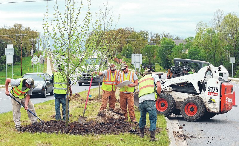 NWA Democrat-Gazette/ANDY SHUPE Workers from B&amp;A Property Maintenance plant London planetrees, a tree closely related to the sycamore, Thursday in the median on Crossover Road south of Joyce Boulevard. The City Council in February approved a $149,000 contract with CAM Lawn Services for 212 trees and shrubs on Crossover between Township Street and Joyce Boulevard and 47 trees on Garland Avenue between North Street and Melmar Drive. The planting is expected to continue through the first week of June. For photo galleries, go to nwadg.com/photos.
