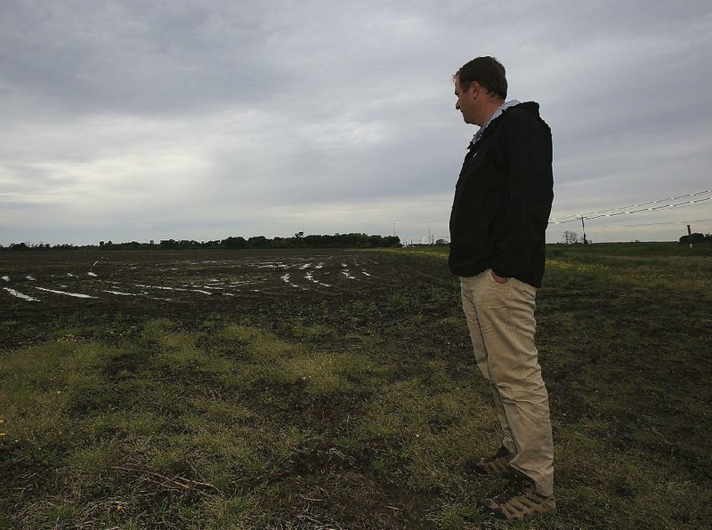 Dow Brantley looks at standing water Tuesday in one of the fields he farms between Keo and England in Lonoke County, a familiar sight in many parts of Arkansas.