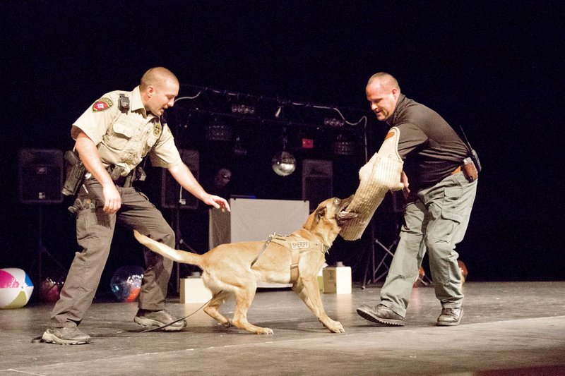 Deputy Tyler Barber of the Lonoke County Sheriff’s Office, left, instructs police dog Heidi to catch Chief Deputy Kevin McCoy, who was pretending to be a criminal for the demonstration held as part of an anti-drug program at Cabot High School on Monday.