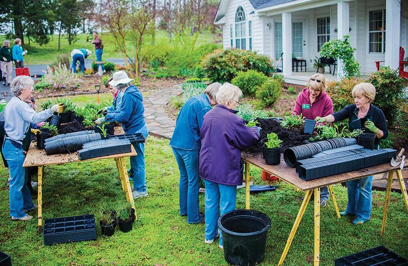 Members of the Faulkner County Master Gardeners program work during a recent dig at the Vilonia home of Sunnie Ruple. The Master Gardeners will hold their annual plant sale from 8 a.m. to 2 p.m. Saturday at the Conway Expo Center.