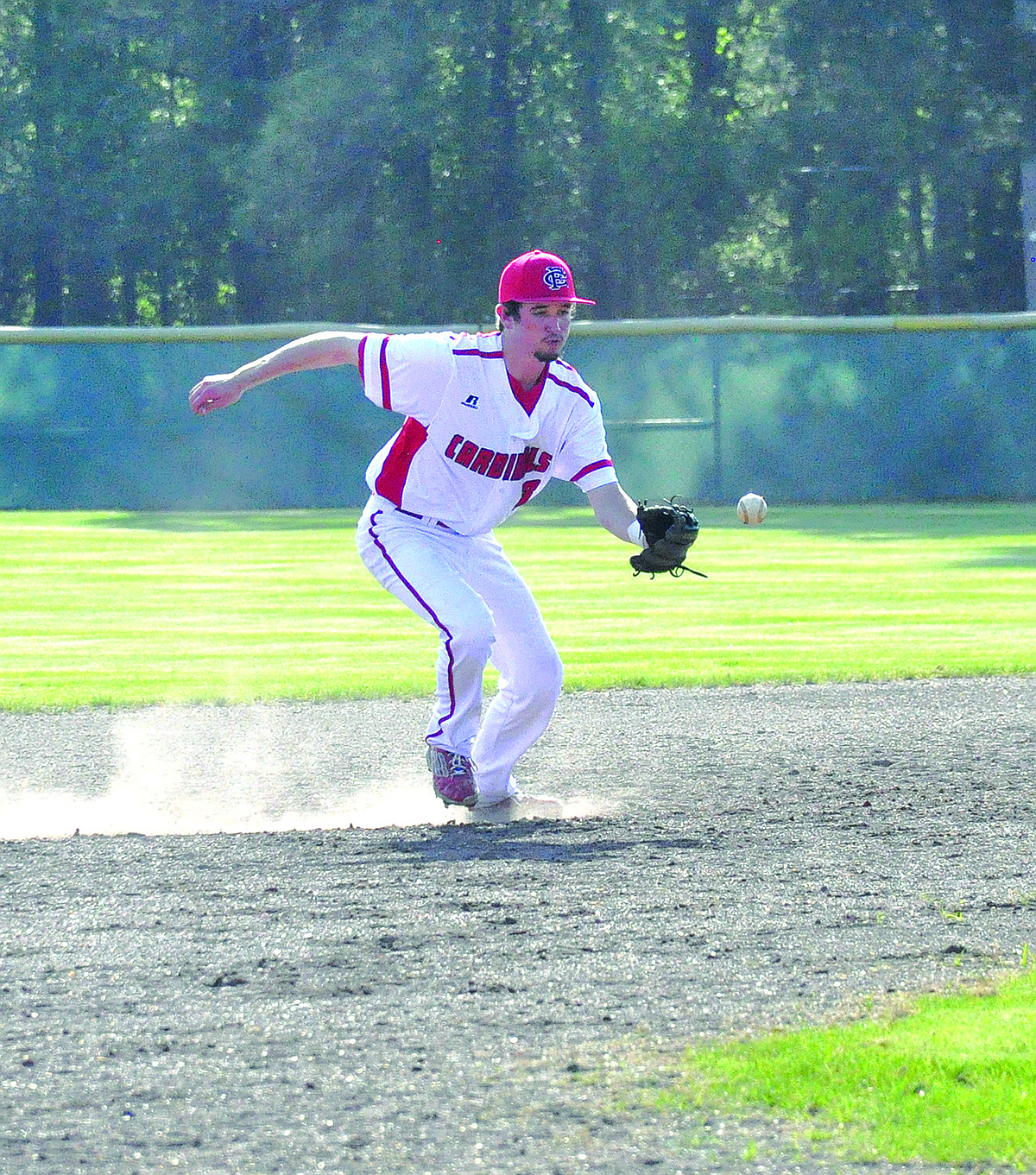 Bring on the Bulldogs! | Camden News