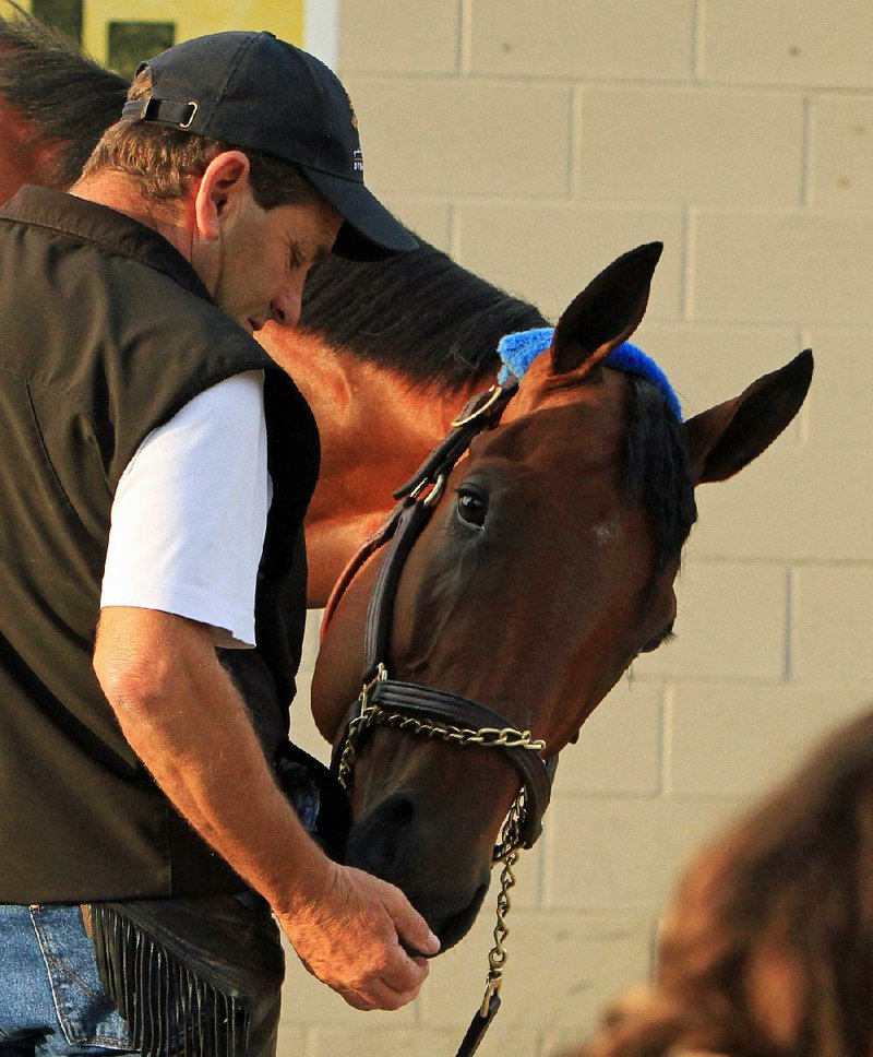 Kentucky Derby winner American Pharoah gets a treat from assistant trainer Jimmy Barnes, left, outside Barn 33 at Churchill Downs in Louisville, Ky., Sunday, May 3, 2015. Trainer Bob Baffert won his fourth Derby, and first since 2002.  (AP Photo/Garry Jones)