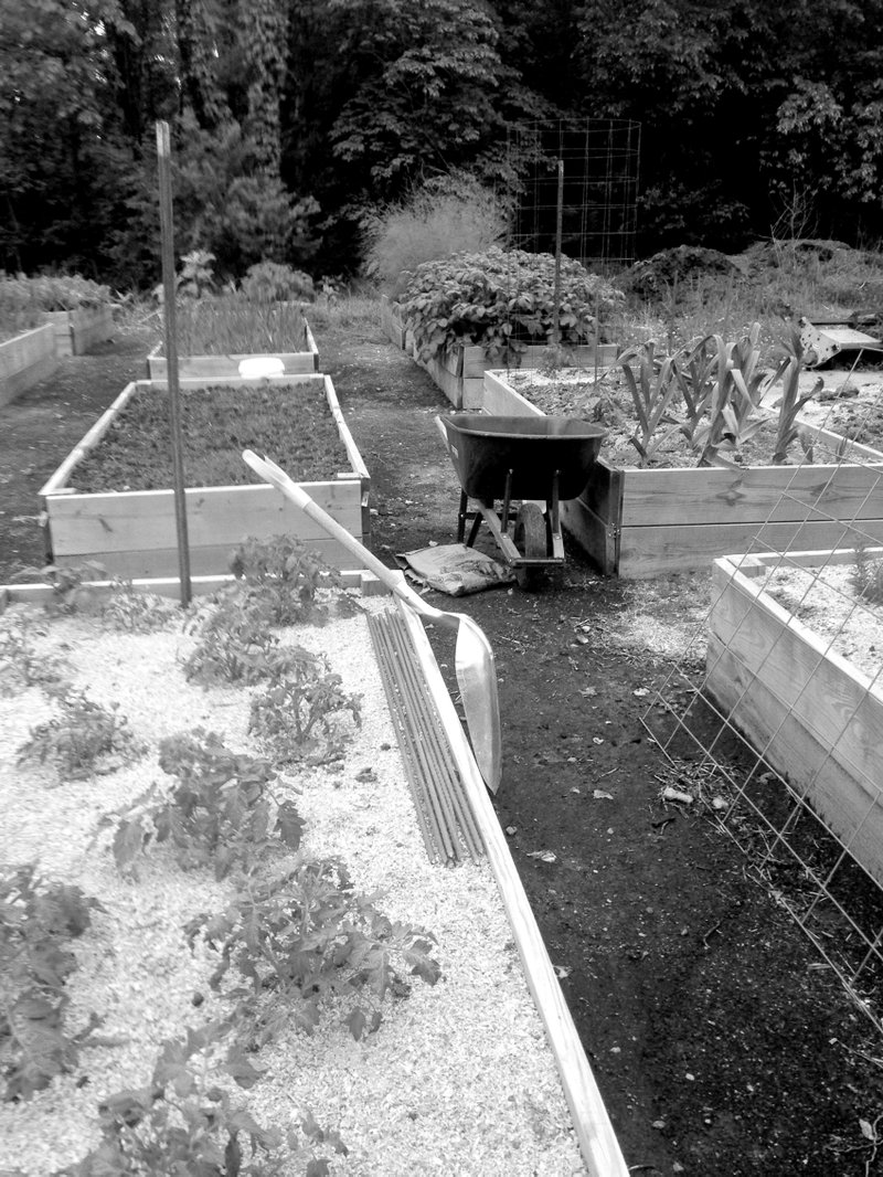 Photo by Sam Byrnes Sam Byrnes shows the layout of a part of his raised-bed garden near Gentry.