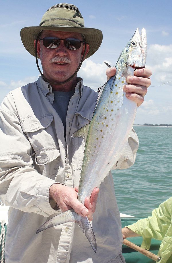 Mackerels, ladyfish plentiful near beaches