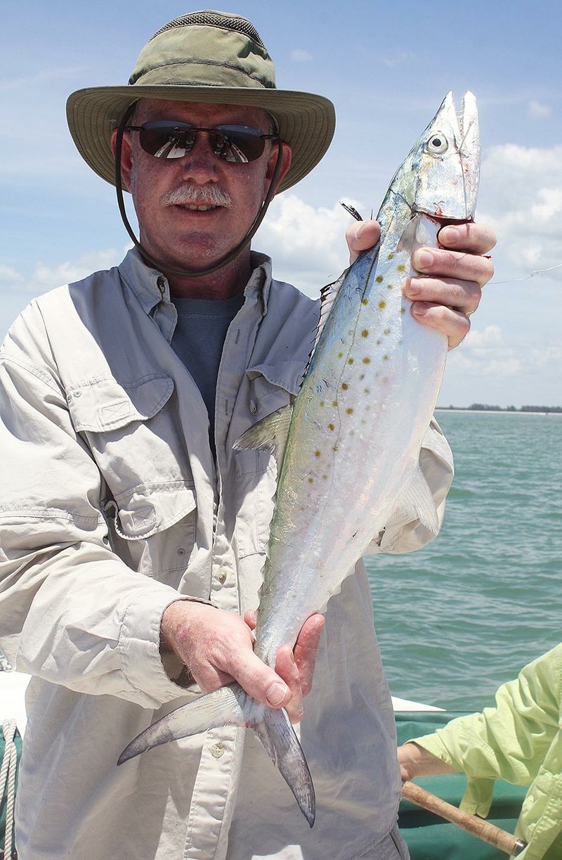 Scott Willett of Middleton, Conn., caught a mess of big Spanish mackerel while fishing with the writer in southwest Florida near Fort Myers. 