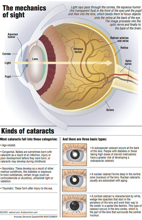 Information and illustrations about the mechanics of sight.