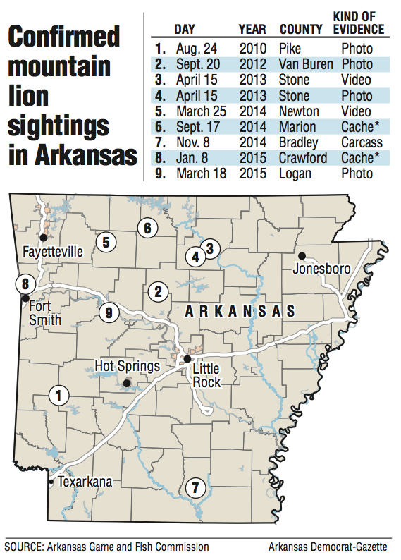 mountain lion map mountain lion map