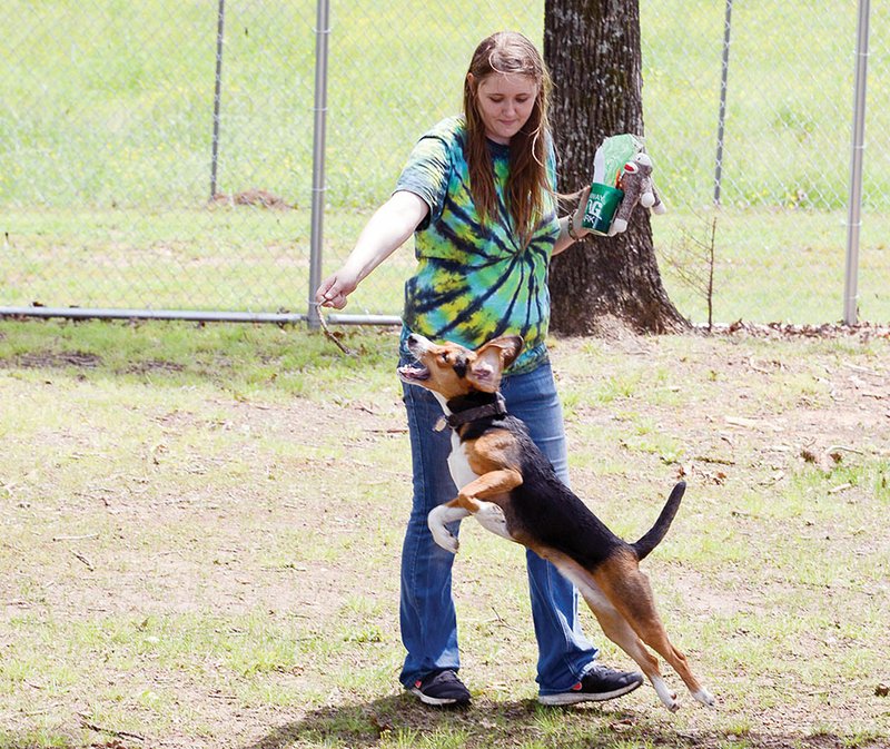 Upgrades to continue at Conway’s PetSafe Dog Park The Arkansas DemocratGazette Arkansas