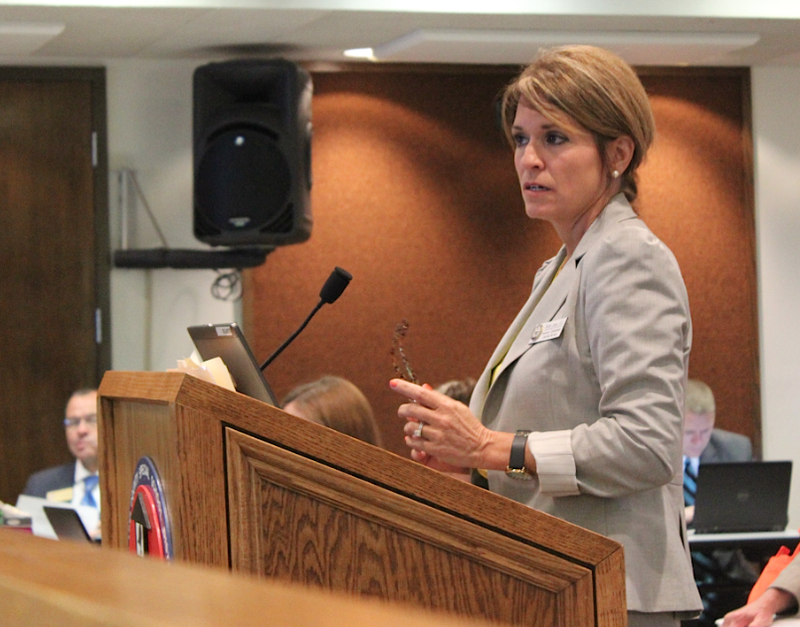 Deborah Jones, assistant commissioner for learning services with the Department of Education,  speaks Thursday to the state Board of Education.