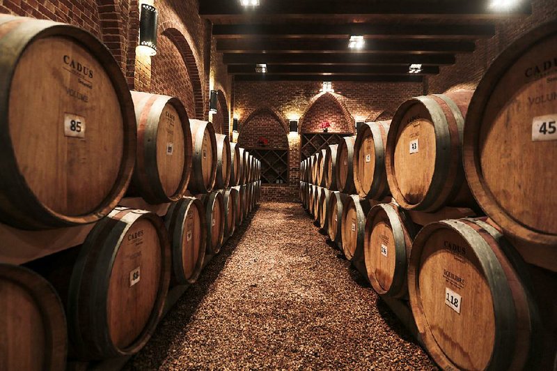 Oak barrels imported from France are stored in a barrel room at the Gianaclis winery, one of Egypt’s main wineries, in the Nile Delta north of Cairo. 