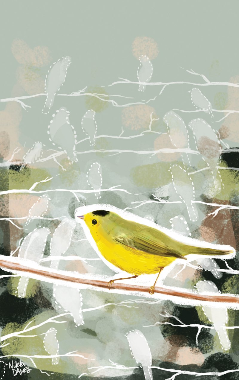 Arkansas Democrat-Gazette bird illustration.