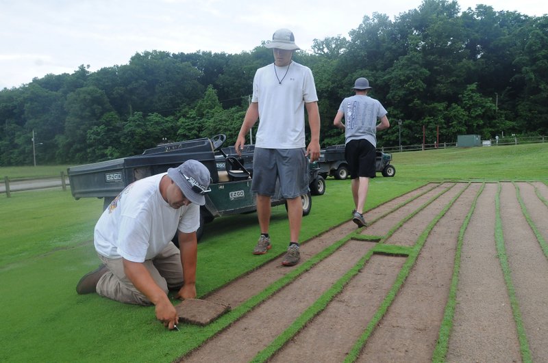 Jeremiah Allen, from left, Seth Brumley and Zach Davis cut sod June 16 to make grass repairs at Big Sugar Golf Club in Pea Ridge.
