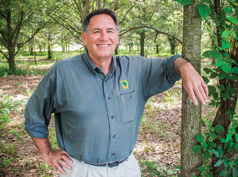 Dave Bowling of Vilonia stands among a grove of trees at the Arkansas Forestry Commission’s Baucum Nursery, which he oversees in North Little Rock. The nursery sells seedlings to private landowners. Bowling, reforestation manager for the commission, also oversees the tree-improvement program. Bowling said he loves his job because trees will help future generations.