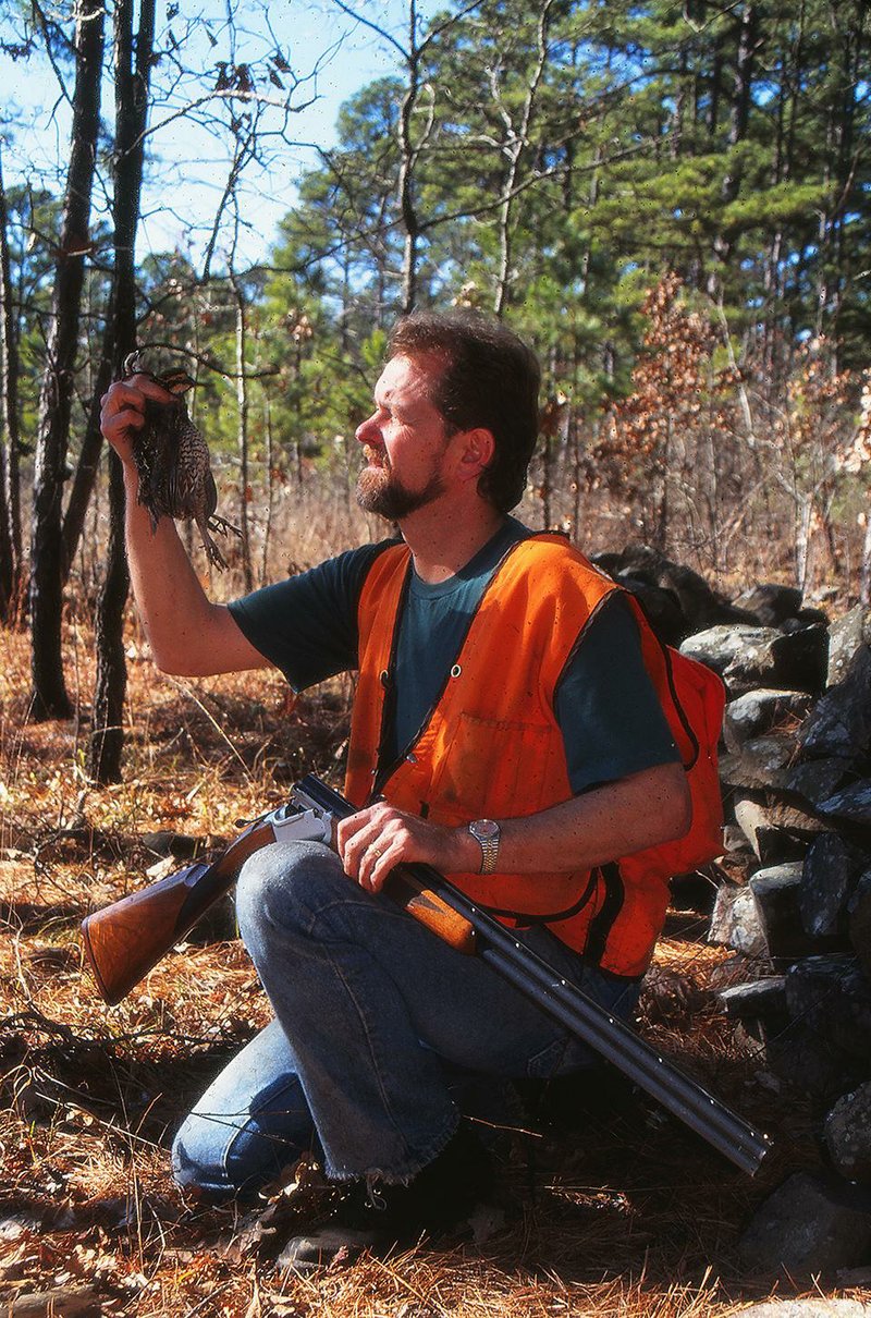 Warren Montague of Waldron killed this quail in the Blue Moon area of the Ouachita National Forest near Mena in 1997. Montague was the driving force behind the Pine/Bluestem Restoration Project in the forest, which was a boon for quail. This part of western Arkansas still contains the state’s largest populations of wild bobwhites. 