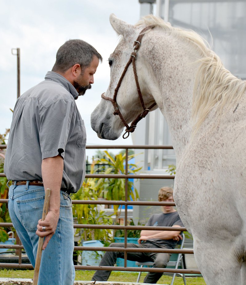 Janelle Jessen/Herald-Leader Mike Rogers stood very still and quiet with his eyes averted and his body turned away from the horse while the horse approached him for the first time. He lets the horse be the first one to make the initial physical contact.