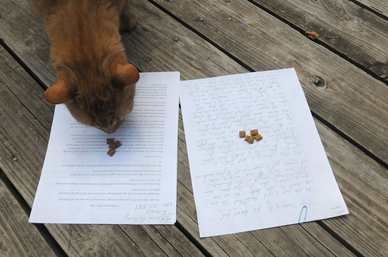 Boat Dock, chief fish story judge, goes to Elaine Holloway’s story to get his treat, making Elaine fish-story champion for 2015.