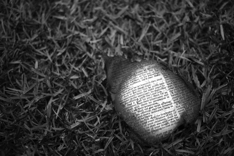 Burnt words: A charred bible page is seen outside Mount Zion African Methodist Episcopal church on Wednesday, in Greeleyville, S.C. 