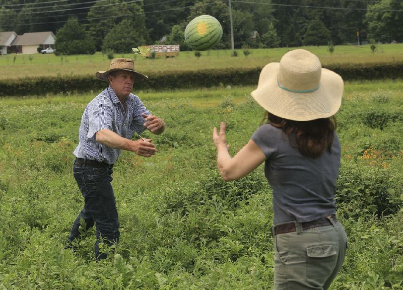 Rex Barnhill (left) tosses a watermelon to his sister Ekko Barnhill as they pick the melons Tuesday on their Lonoke County farm. Ekko Barnhill hopes that a new program announced Thursday to highlight veterans-turned-farmers in Arkansas results in increased “community support.”