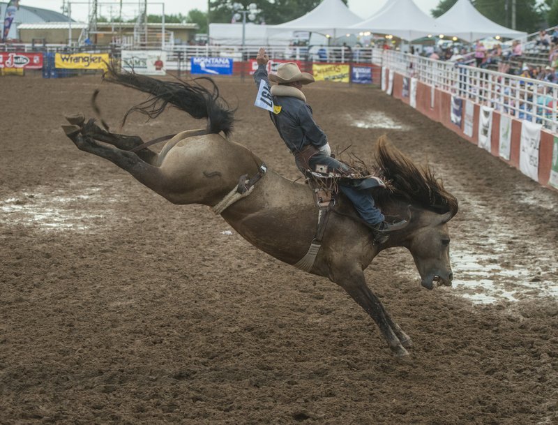 Will Lowe, Canyon, Texas, rides Miss Dunny Thursday in the bareback riding competition at the 71st Rodeo of the Ozarks at Parsons Stadium in Springdale. Lowe scored and 86 for his ride.