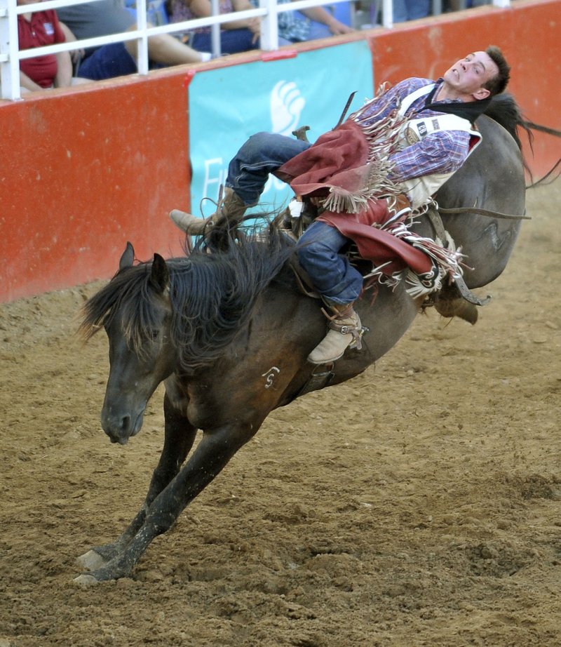 Bareback rider Tim O’Connell holds on Saturday at the 71st Rodeo of the Ozarks in Springdale.