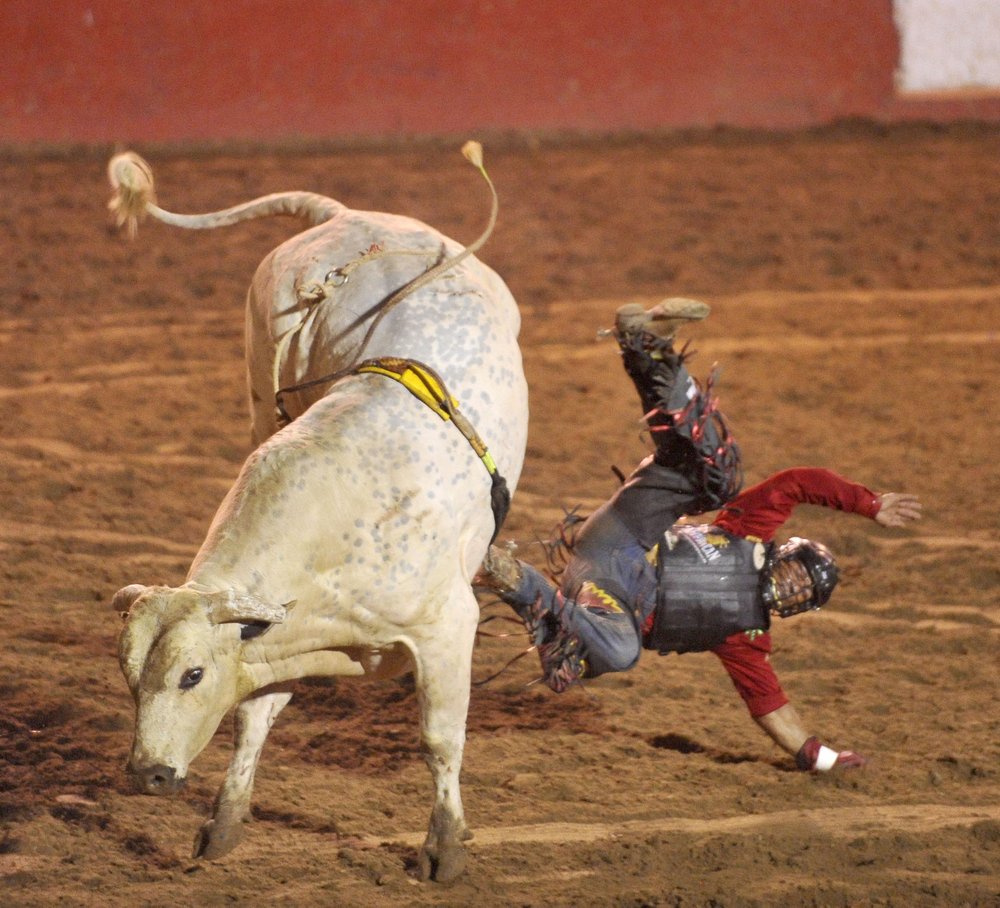 Hoppin' into the saddle