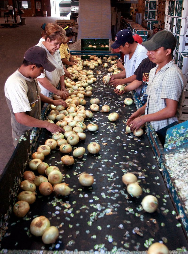Workers sort onions in the warehouse of Vidalia onion farmer R.T. Stanley in Vidalia, Ga., in this file photo. An appeals court ruled last week that Georgia’s agriculture commissioner can set a packing date for the state’s famed onions.