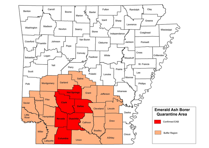 This map from the Arkansas Plant Board shows counties included in the emerald ash borer quarantine area. 