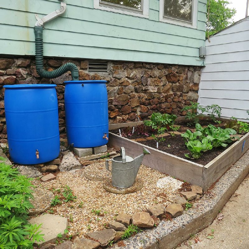 Two rain barrels mean double the water capacity at this Little Rock home. Spigots on the barrels allow for easy access when watering outdoor plants. 