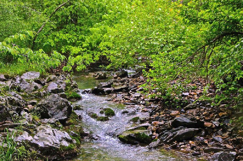 Slunger Creek is the highlight of Lake Catherine State Park’s newest trail.