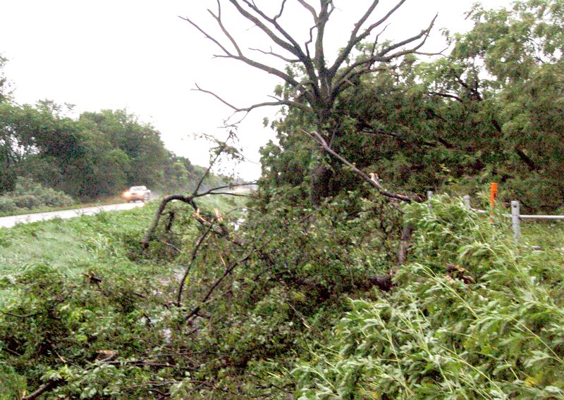 Photo by Mike Eckels Tree limbs and other debris litter the ditch on the corner of Arkansas Highway 59 and Peterson Road near Gentry after an EF,-1 tornado ripped through the area July 9. No one was injured, though several buildings were damaged to the south of the intersection.