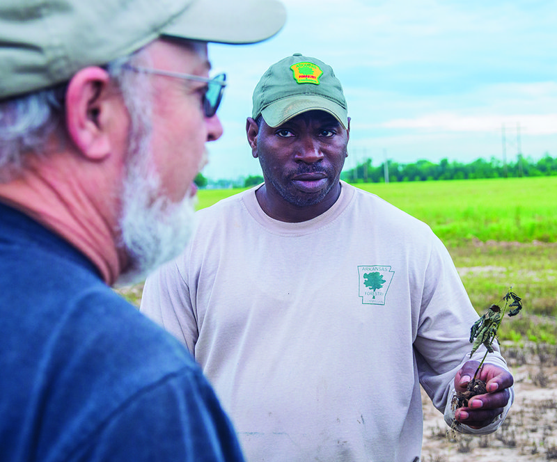 Allan Murray, left, the manager at the Arkansas Forestry Commission’s Baucum Nursery, discusses with James Shelton, nursery reforestation foreman, a field of seedlings at the facility.